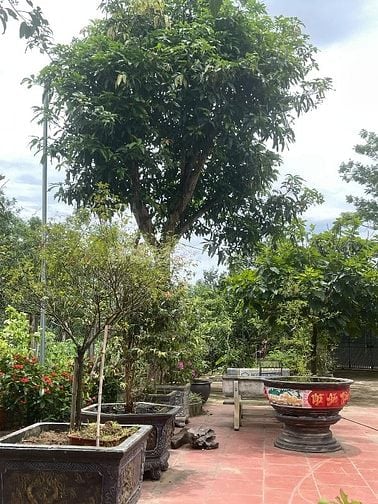 Bán nhà vườn đầy đủ tiện nghi chỉ việc xách vali về ở.