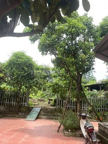 Bán nhà vườn đầy đủ tiện nghi chỉ việc xách vali về ở.