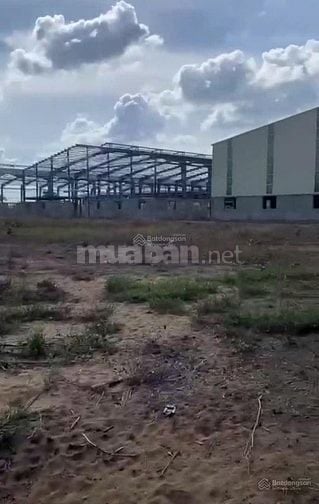 Cho thuê xưởng 17.000m2. Xã Lương Bình, Bến Lức, LA. 2 MT 830 và sông 