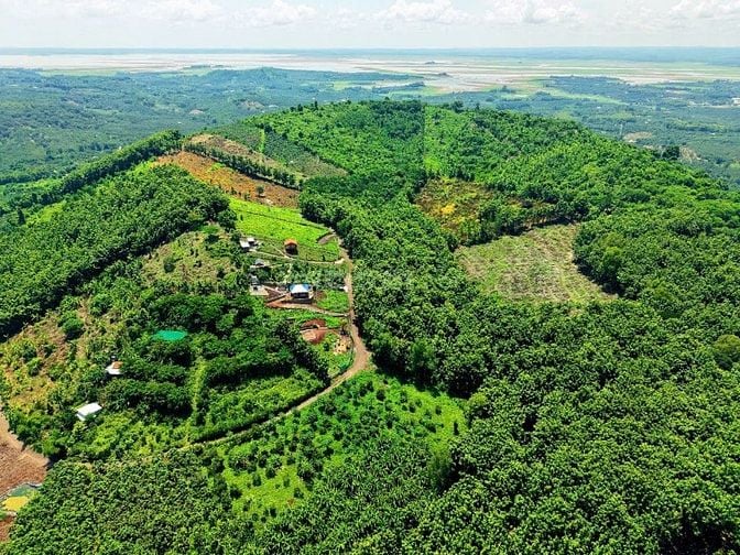 Vợ chồng đi nước ngoài  cần bán gấp lô đất vườn đẹp tại Định Quán