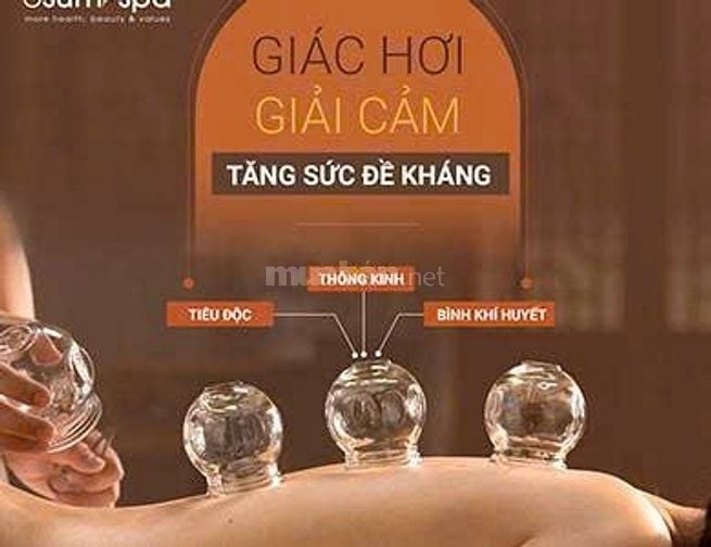 Massage trị liệu cổ vai gáy tại nhà, tận tâm, chu đáo