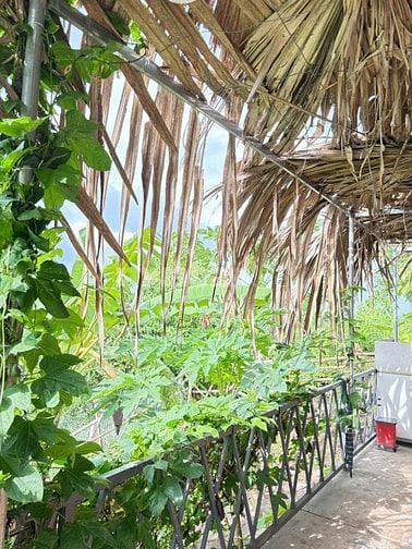 Vợ chồng đi nước ngoài  cần bán gấp lô đất vườn đẹp tại Định Quán