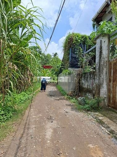 Chính chủ bán 4.5 tỉ/ 605m2, lô góc 2mt đường 9 Long phước, Q9