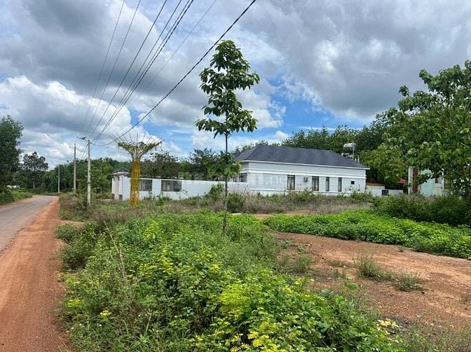 đất đẹp giá rẻ thích hợp để đầu tư là định cư lâu dài