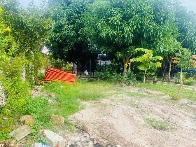 5x47(263m2) Nguyễn Văn Tỗi Trung Tâm LaGi Kinh Doanh Đa Ngành Nghề