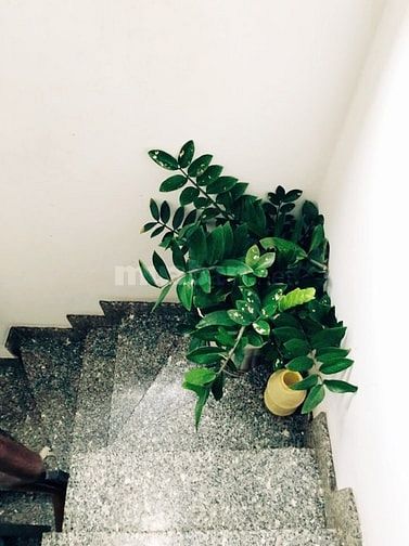 Cơ hội vàng cho nhà đầu tư – mặt tiền Nguyễn Đình Khơi, Q.Tân Bình.