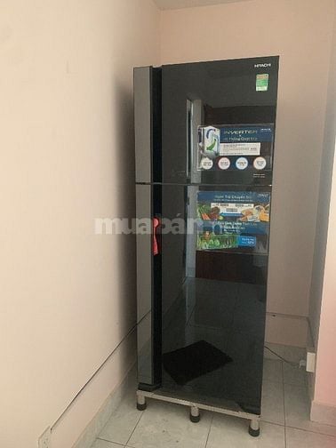 Cho thuê căn hộ mới, dọn vô ở liền