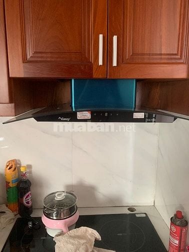 Cho thuê căn hộ mới, dọn vô ở liền