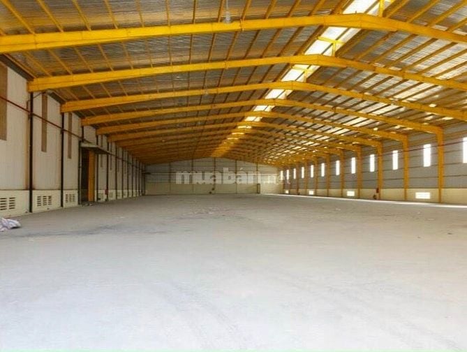 cho thuê 20.000m kho xưởng tỉnh lộ 15 giá 600 triệu
