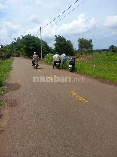 Bán gấp lô Đất giá rẻ chỉ vài trăm