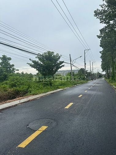 Bán đất mặt tiền đường nhựa 86B, P. Mỹ Phong (xã Tân Mỹ Chánh cũ)