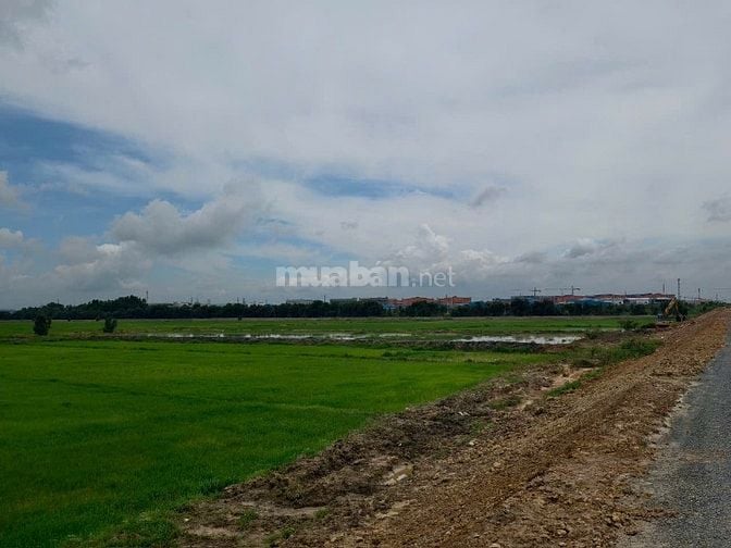 8.500 m2 đất mặt tiền HCM Đức Hòa, liền kề 2 KCN..giá ngộp bán gấp