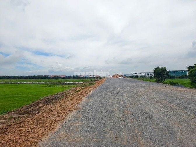 8.500 m2 đất mặt tiền HCM Đức Hòa, liền kề 2 KCN..giá ngộp bán gấp