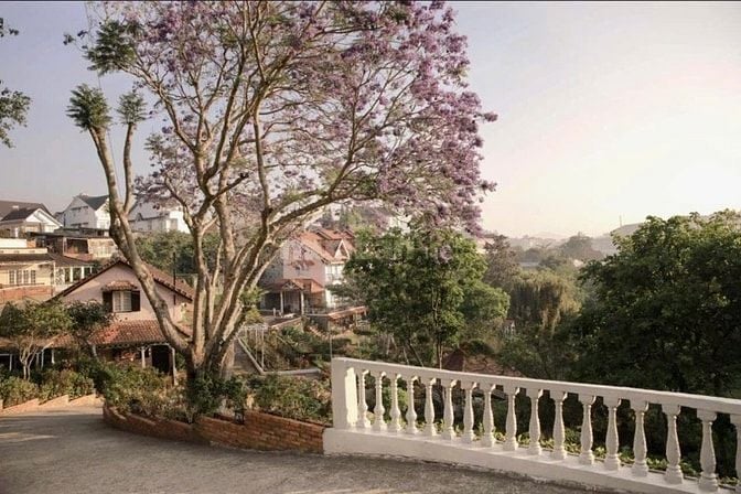 Đất thổ cư mặt tiền đường lớn,Sổ Hổng riêng không tranh chấp không quy
