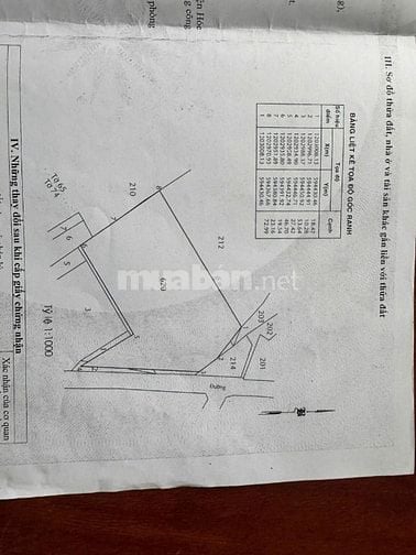 Bán đất mặt tiền đường Trịnh Thị Miếng