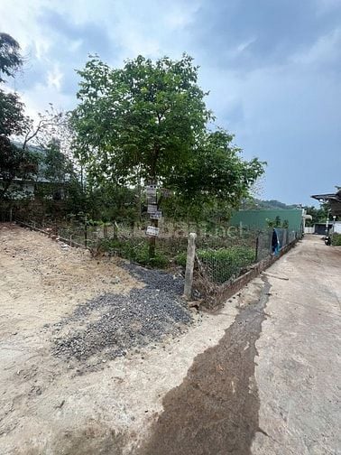 Bán đất thổ cư, hẻm 723 Hà Huy Tập - Đối diện khu đô thị Ân Phú