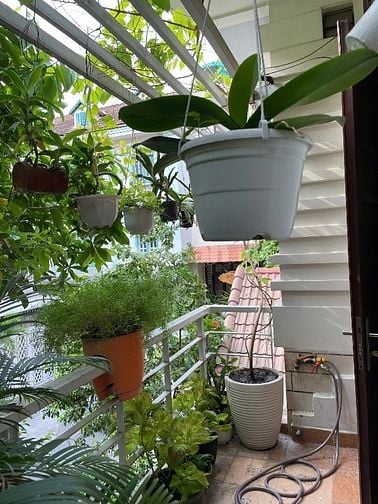 Bán nhà 282/4 Nguyễn Trọng Tuyển, Quận Phú Nhuận, nội thất cao cấp