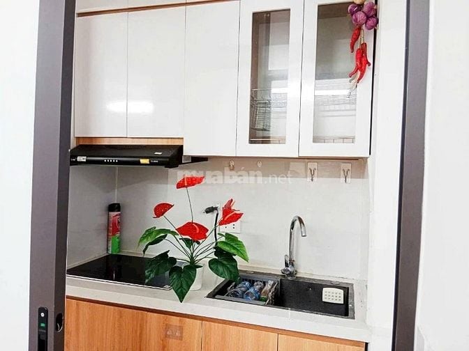 Nhà Đẹp Gần Đường Ô TÔ Tôn Đức Thắng, Đống Đa 40m, mt 4m, giá 3,1 tỷ.