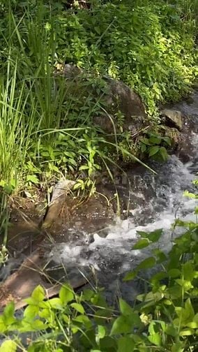 BÁN GẤP ĐẤT VƯỜN GẦN HỒ TRỊ AN CHỈ 850 TRIỆU TRỌN SỔ, TẠI ĐỊNH QUÁN
