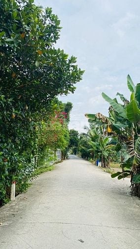 BÁN GẤP ĐẤT VƯỜN GẦN HỒ TRỊ AN CHỈ 850 TRIỆU TRỌN SỔ, TẠI ĐỊNH QUÁN