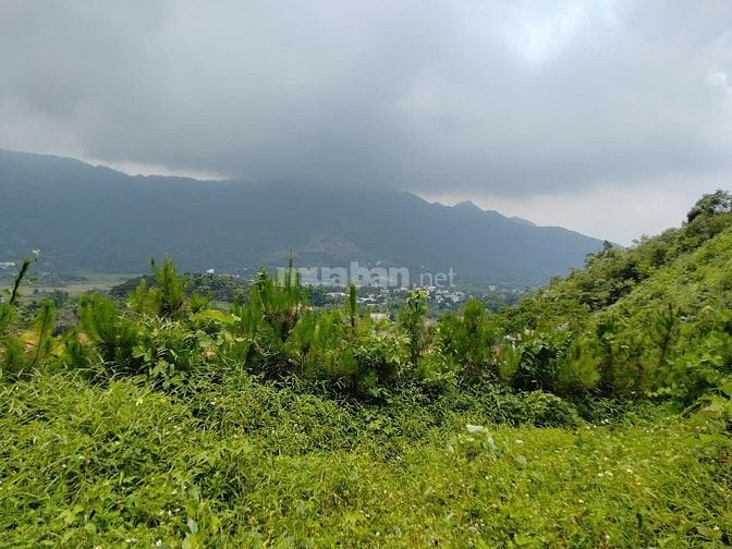 CC bán đất gần ĐH QG Tiến xuân, thạch thất, HÀ NỘI 20000M, 14,5 TỶ