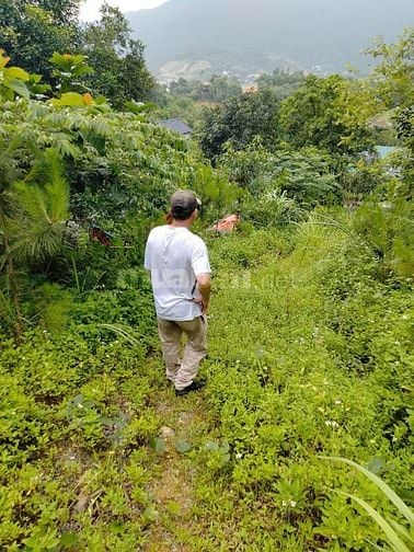 CC bán đất gần ĐH QG Tiến xuân, thạch thất, HÀ NỘI 20000M, 14,5 TỶ