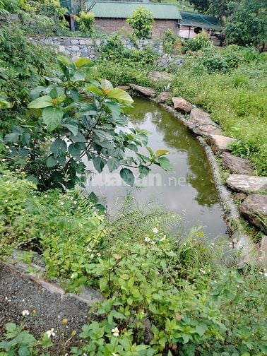 CC bán đất gần ĐH QG Tiến xuân, thạch thất, HÀ NỘI 20000M, 14,5 TỶ