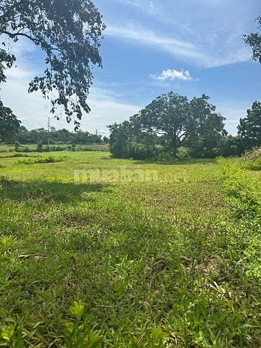 Bán đất sổ đỏ chính chủ sang tay ngay tại Xã Thanh Mỹ, Sơn Tây, Hà Nội