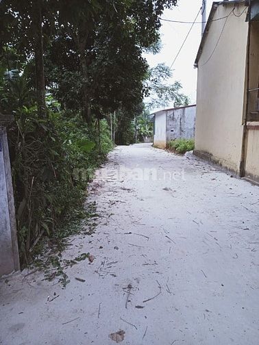 Khu biệt thự vườn 8,130 m2 cách Cảng Thác Bà 1km , cách đường Nhựa 15m