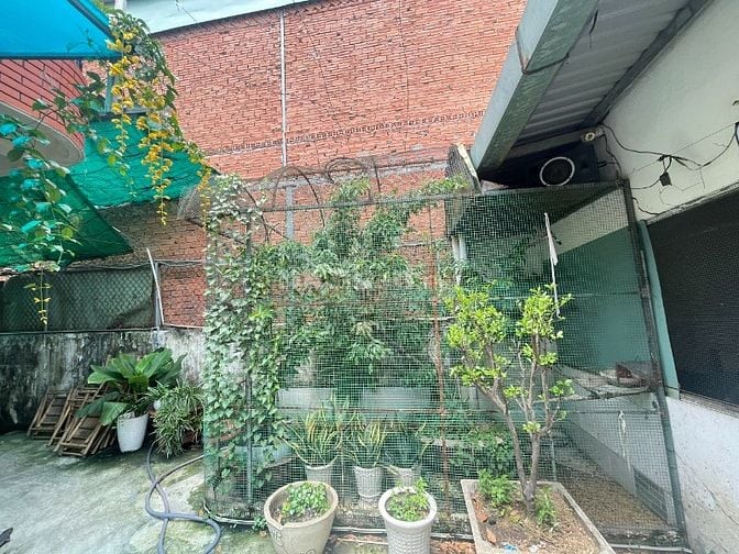 Bán nhà sân vườn Lê Đức Thọ, Phường13, Gò Vấp. DT: 297m. Chính chủ.