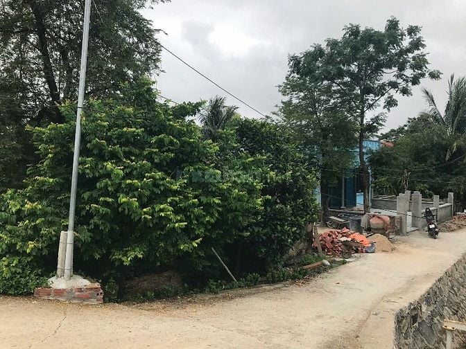 Bán Đất thôn Bắc, xã Phù Long, Cát Hải TDT 600m2, mặt đường, view sông