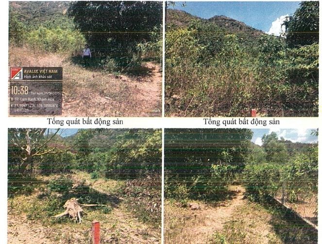 Bán đất tại địa chỉ:  Xã Vĩnh Lương, TP Nha Trang, tỉnh Khánh Hòa
