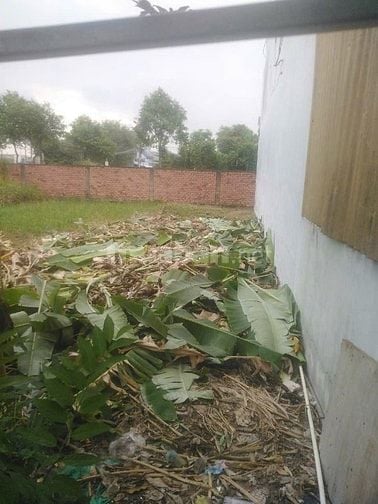 Chính chủ bán đất 100m2 giá 2,4 tỷ, Tân kim, cần giuộc 