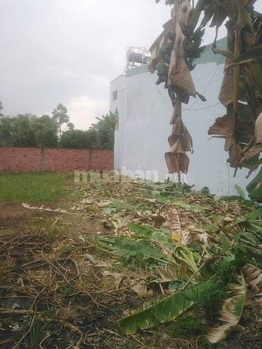 Chính chủ bán đất 100m2 giá 2,4 tỷ, Tân kim, cần giuộc 