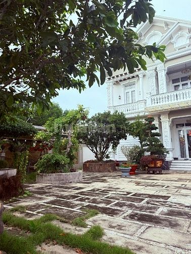 ĐI DU HỌC CẦN BÁN LỖ GẤP SIÊU BIỆT THỰ MẶT TIỀN TL786 CHỈ 42 TỶ