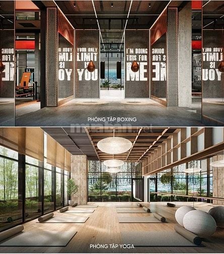 📌 Căn Hộ Sở Hữu Lâu Dài Tại TP.HCM – Chỉ Từ 100 Triệu (>20 triệu/thán
