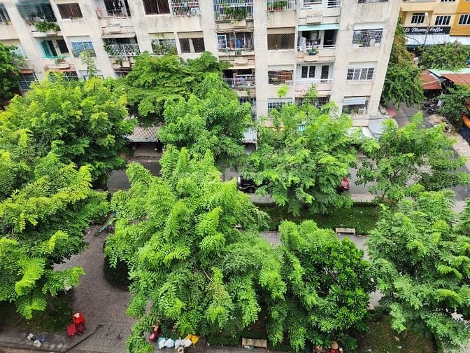 Cho thuê CH C/cư B.Thới, Lô C, lầu 5 Dương Đình Nghệ, P.8,Q.11 giá 6tr