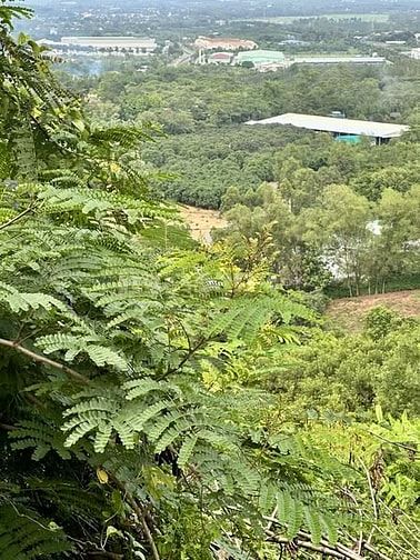 CHÍNH CHỦ BÁN GẤP VƯỜN 1.180M² CHỈ 1 TỶ TRỌN SỔ – VIEW SUỐI, ĐỒI