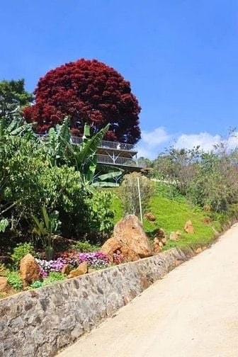 CHÍNH CHỦ BÁN GẤP VƯỜN 1.180M² CHỈ 1 TỶ TRỌN SỔ – VIEW SUỐI, ĐỒI