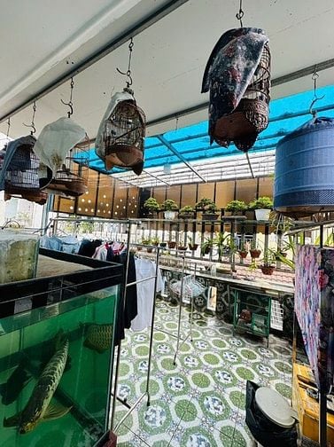 Bán nhà 3PN đường số 4, phường 16, Gò Vấp