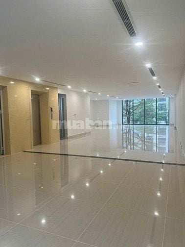 Bán tòa nhà văn phòng Xã Đàn, Đống Đa, Dt 150m2, 9t, mt 6.5m, 