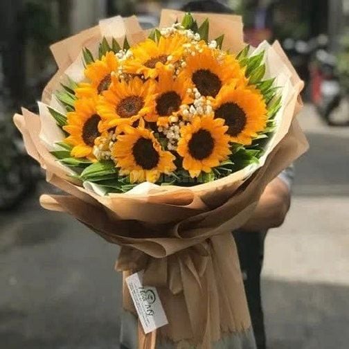 Vườn Hoa Mây – Nơi tâm hồn bạn được "nở hoa"