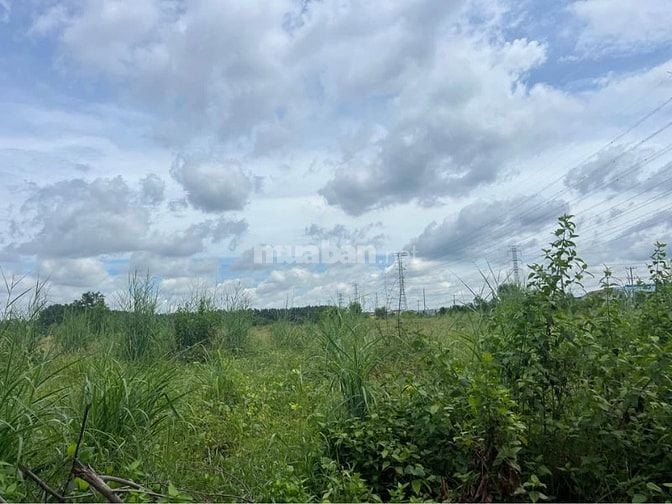 Bán đất xưởng liền kề KCN Đất Cuốc , Bình Dương , diện tích : 41.000m2