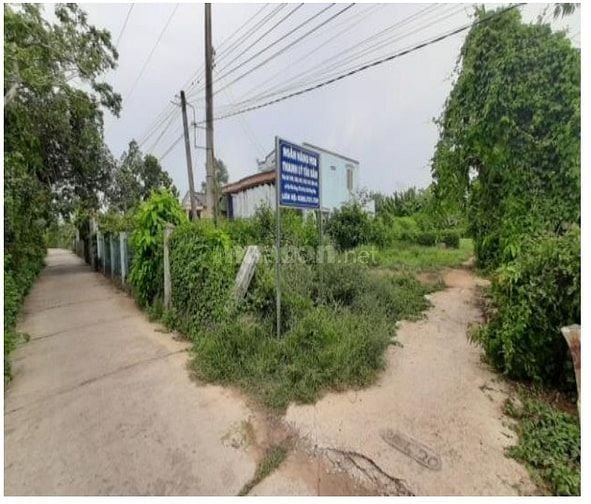 Công ty đấu giá hợp danh Sao Việt 
