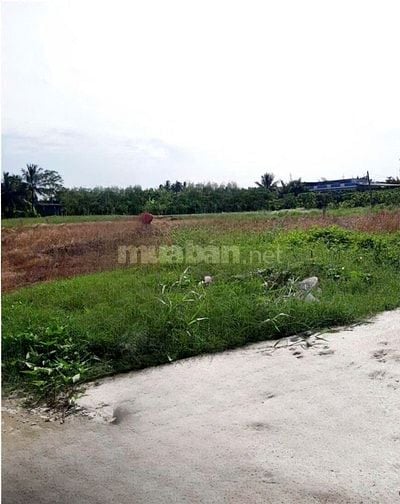 CHÍNH CHỦ BÁN ĐẤT GIÁ RẺ CHỈ 590 TRIỆU 150M² FULL THỔ CƯ GẦN CHỢ CHÁNH