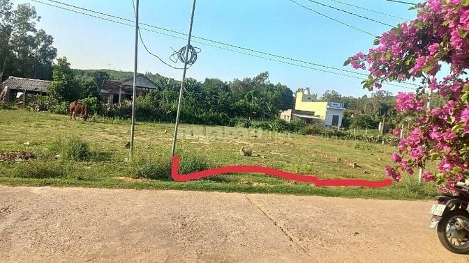 CHÍNH CHỦ LÔ ĐẤT RẺ GẦN BIỂN XÃ ĐỨC THẮNG MỘ ĐỨC QUẢNG NGÃI