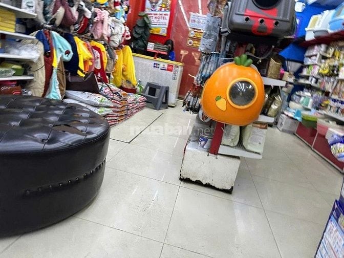 💥BÁN GẤP NHÀ MẶT PHỐ KIM MÃ – 56M² – CHO THUÊ 50TR/TH – GIÁ NHỈNH 20 