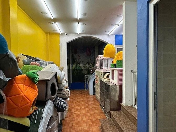 💥BÁN GẤP NHÀ MẶT PHỐ KIM MÃ – 56M² – CHO THUÊ 50TR/TH – GIÁ NHỈNH 20 