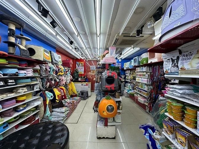 💥BÁN GẤP NHÀ MẶT PHỐ KIM MÃ – 56M² – CHO THUÊ 50TR/TH – GIÁ NHỈNH 20 