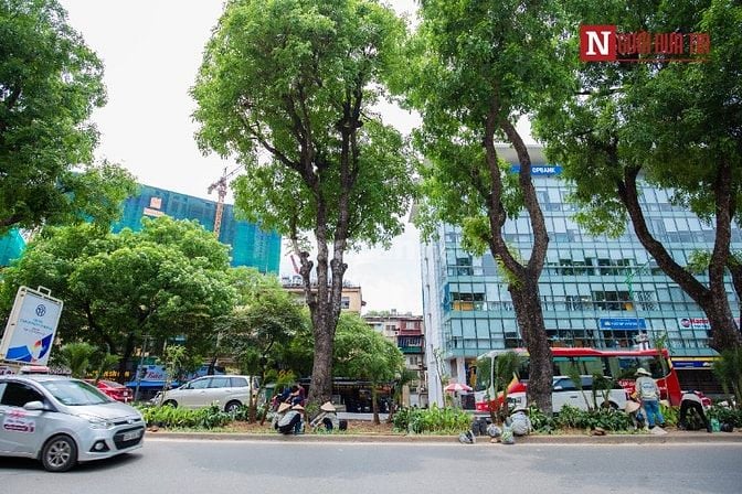 💥BÁN GẤP NHÀ MẶT PHỐ KIM MÃ – 56M² – CHO THUÊ 50TR/TH – GIÁ NHỈNH 20 